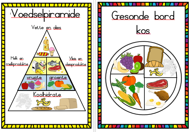 Voedselsoorte Gesonde Bord Kos Voeselpiramide Juffrou B D