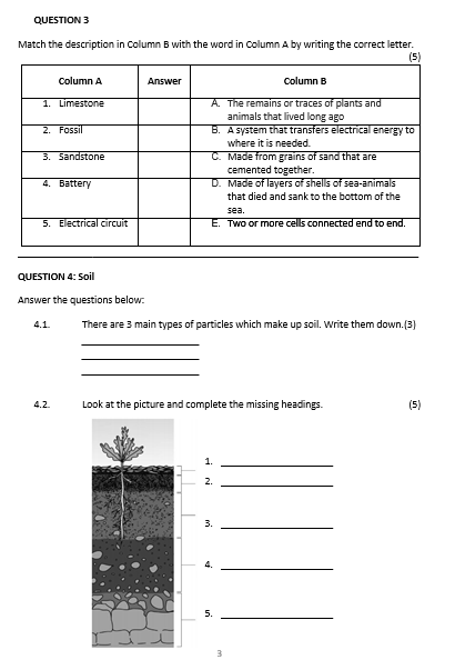 gr-5-natural-science-and-technology-test-term-4-juffrou-911