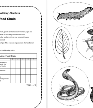 natural science and technology archives juffrou 911