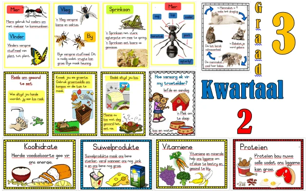 Graad 3 LEWENSVAARDIGHEID muurkaarte KWARTAAL 2