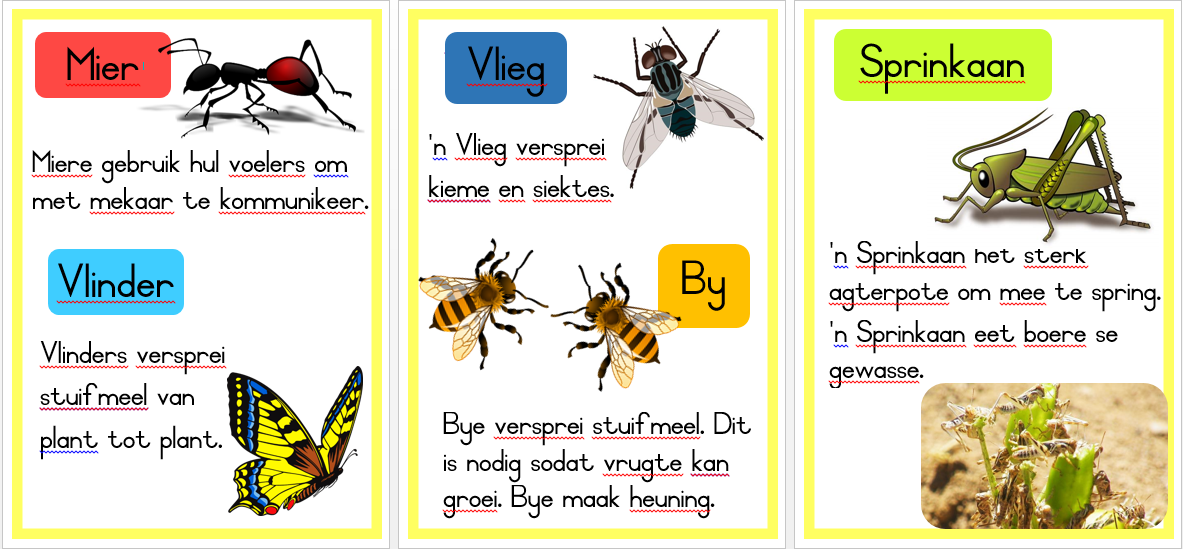 Graad 3 LEWENSVAARDIGHEID muurkaarte KWARTAAL 2 - Image 7