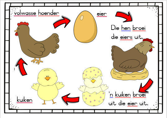 Graad 3 LEWENSVAARDIGHEID muurkaarte KWARTAAL 2 - Image 10