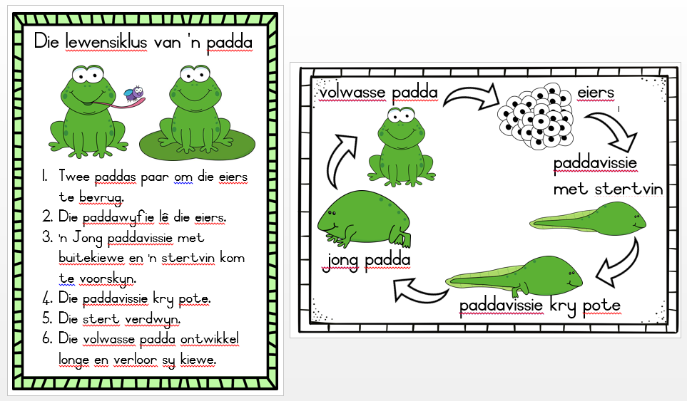 Graad 3 LEWENSVAARDIGHEID muurkaarte KWARTAAL 2 - Image 11