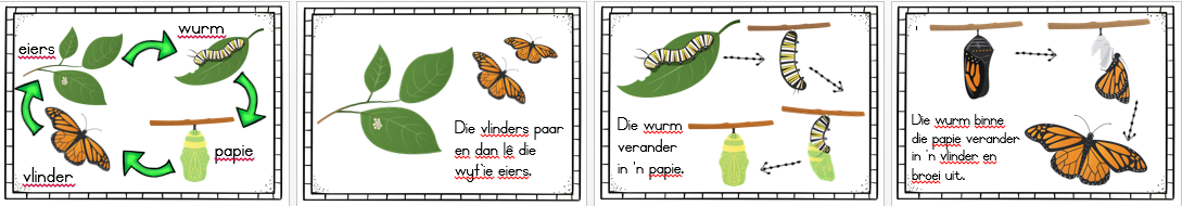 Graad 3 LEWENSVAARDIGHEID muurkaarte KWARTAAL 2 - Image 13