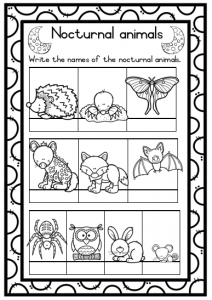 grade 2 life skills workbook term 4 juffrou 911