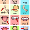My liggaam pakket 🦶🏻👃🏻🤚🏻 - Image 6
