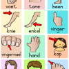 My liggaam pakket 🦶🏻👃🏻🤚🏻 - Image 7