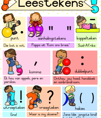 FREEBIE Leestekens muurkaarte + Flitskaarte ❗❓