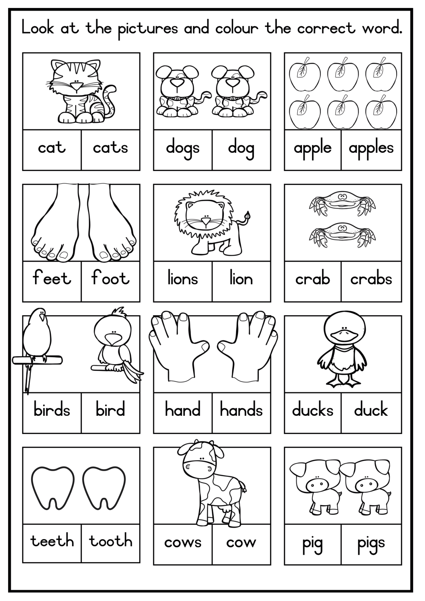 Grade 1 English Home Language TERM 4 - Juffrou 911