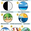 🎁Bible posters - Image 4