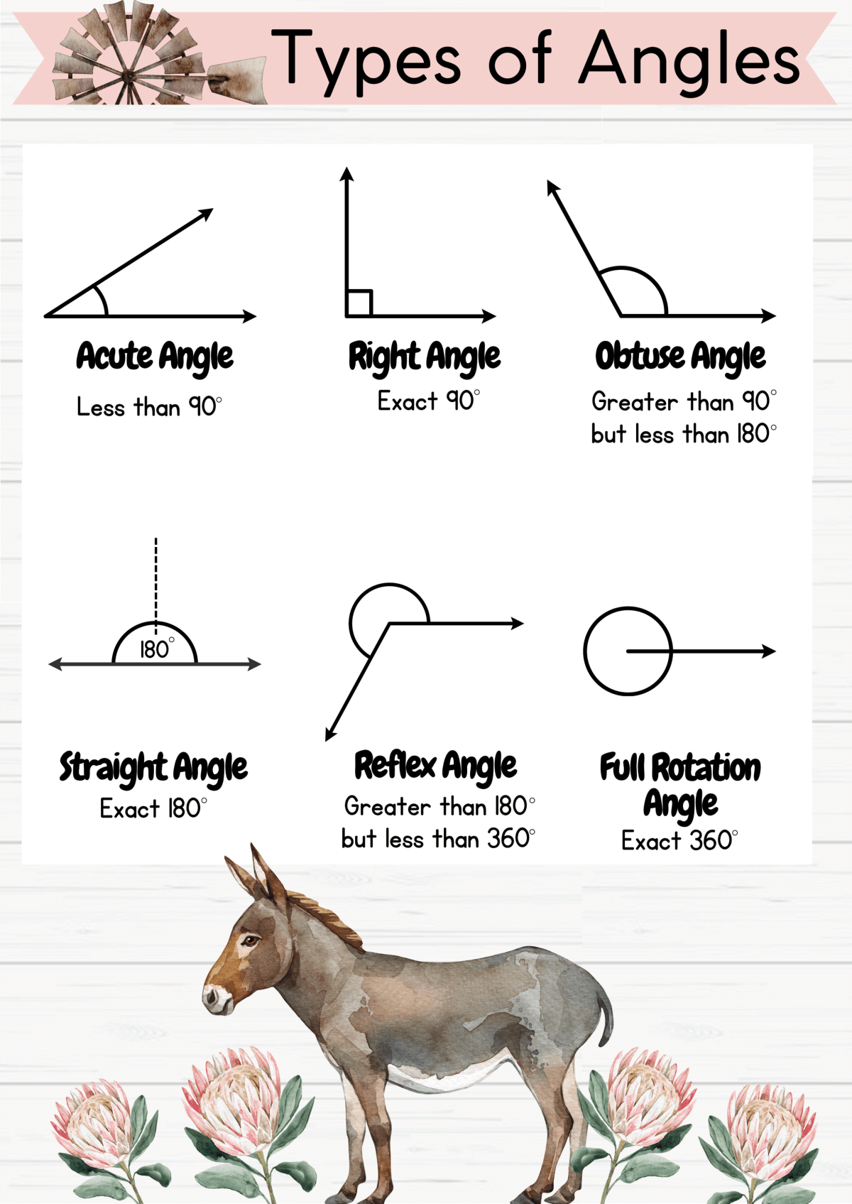 Protea and donkey A3 Mathematics poters - Image 8