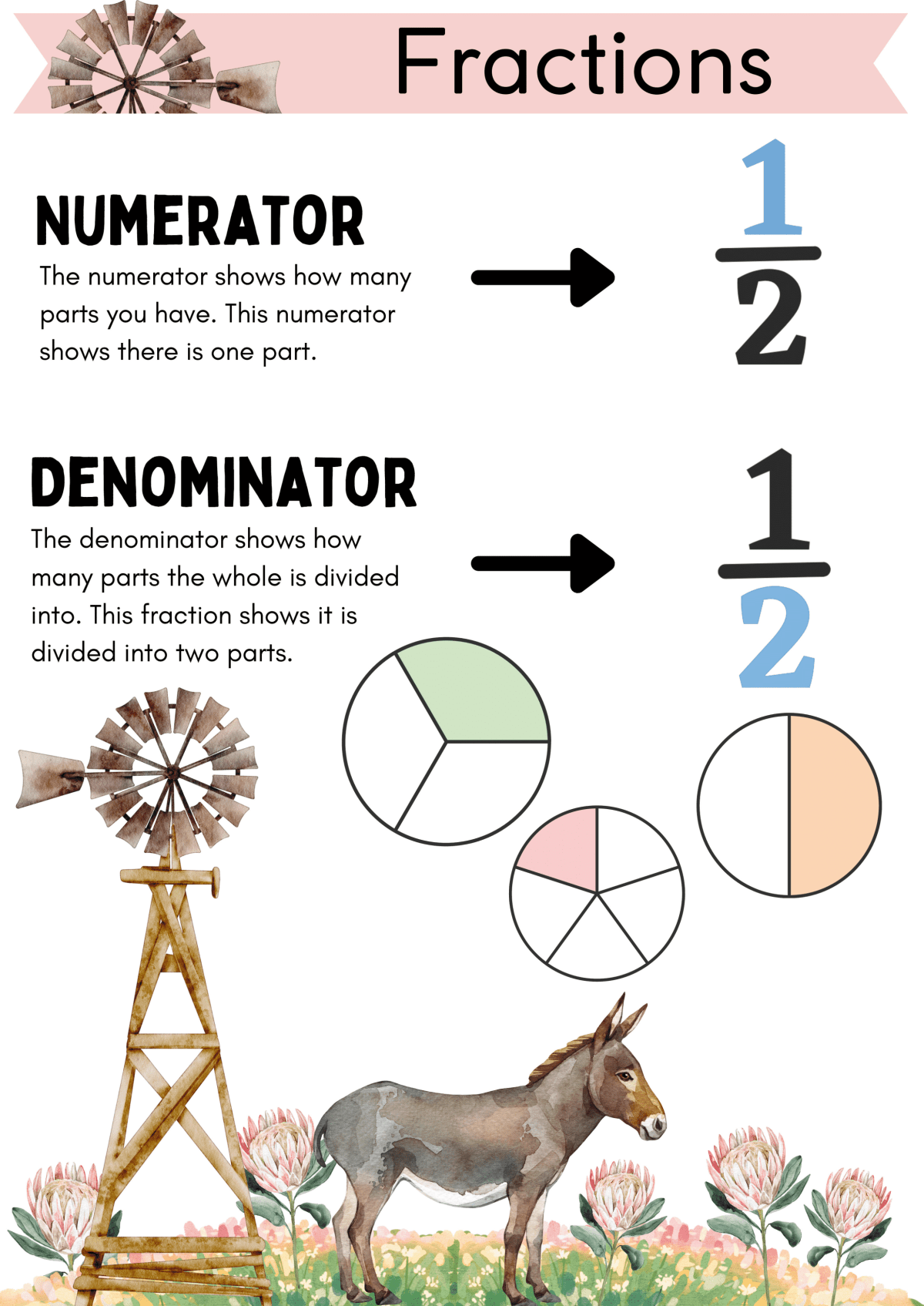 Protea and donkey A3 Mathematics poters - Image 2