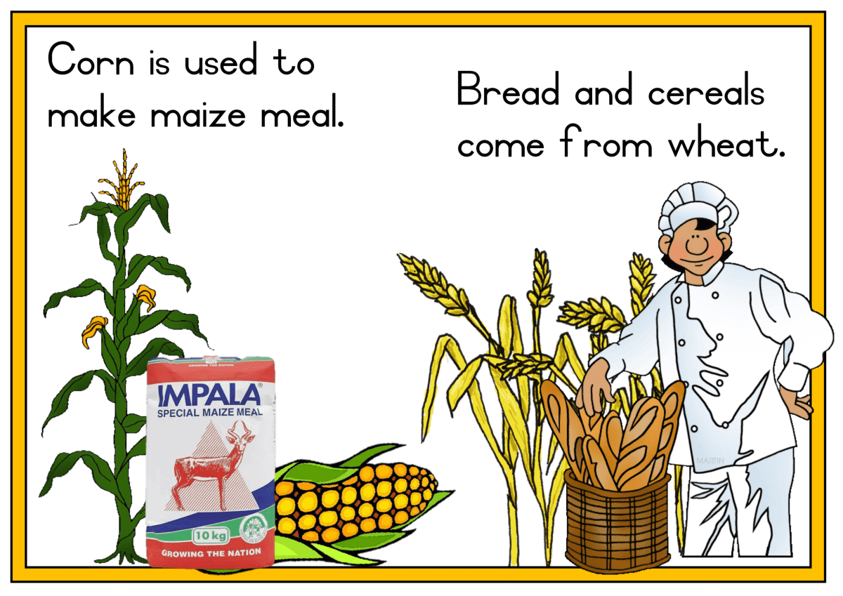 Grade 1 Life Skills posters - Term 3 - Image 16