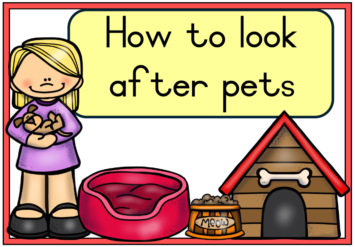 Grade 1 Life Skills posters - Term 3 - Image 3