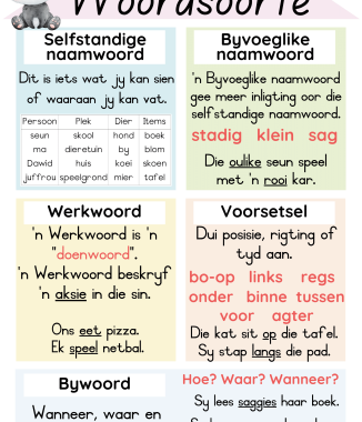 Panda - Afrikaanse muurkaarte