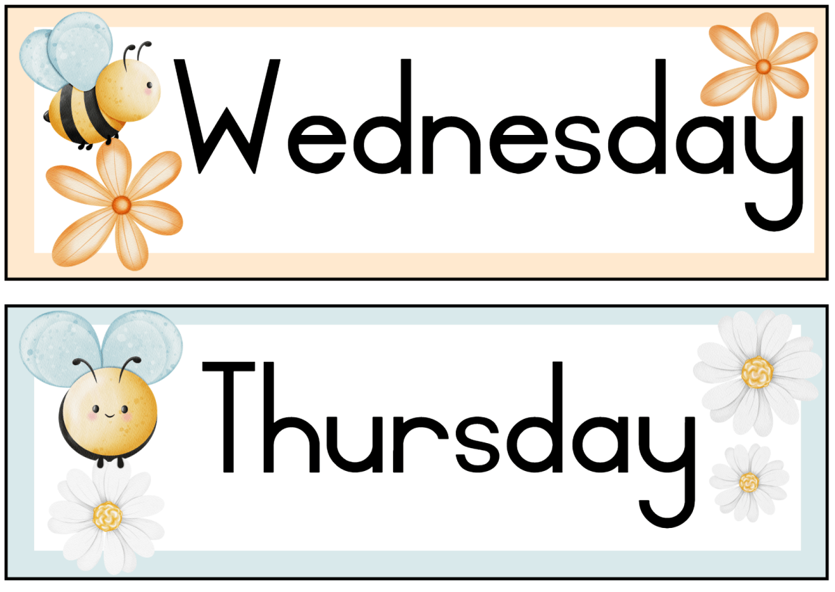 Bee theme - Image 16