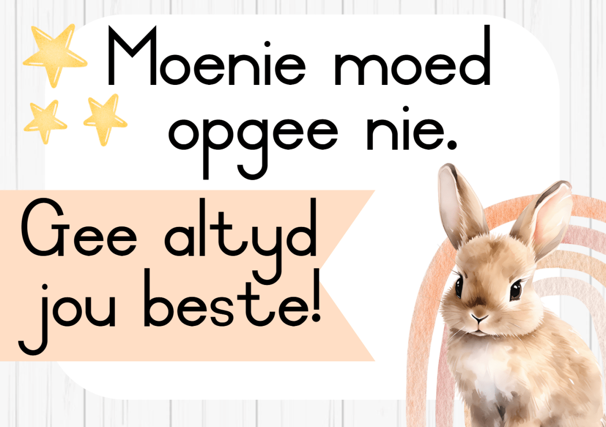 Hasies en Reënboë - Image 12