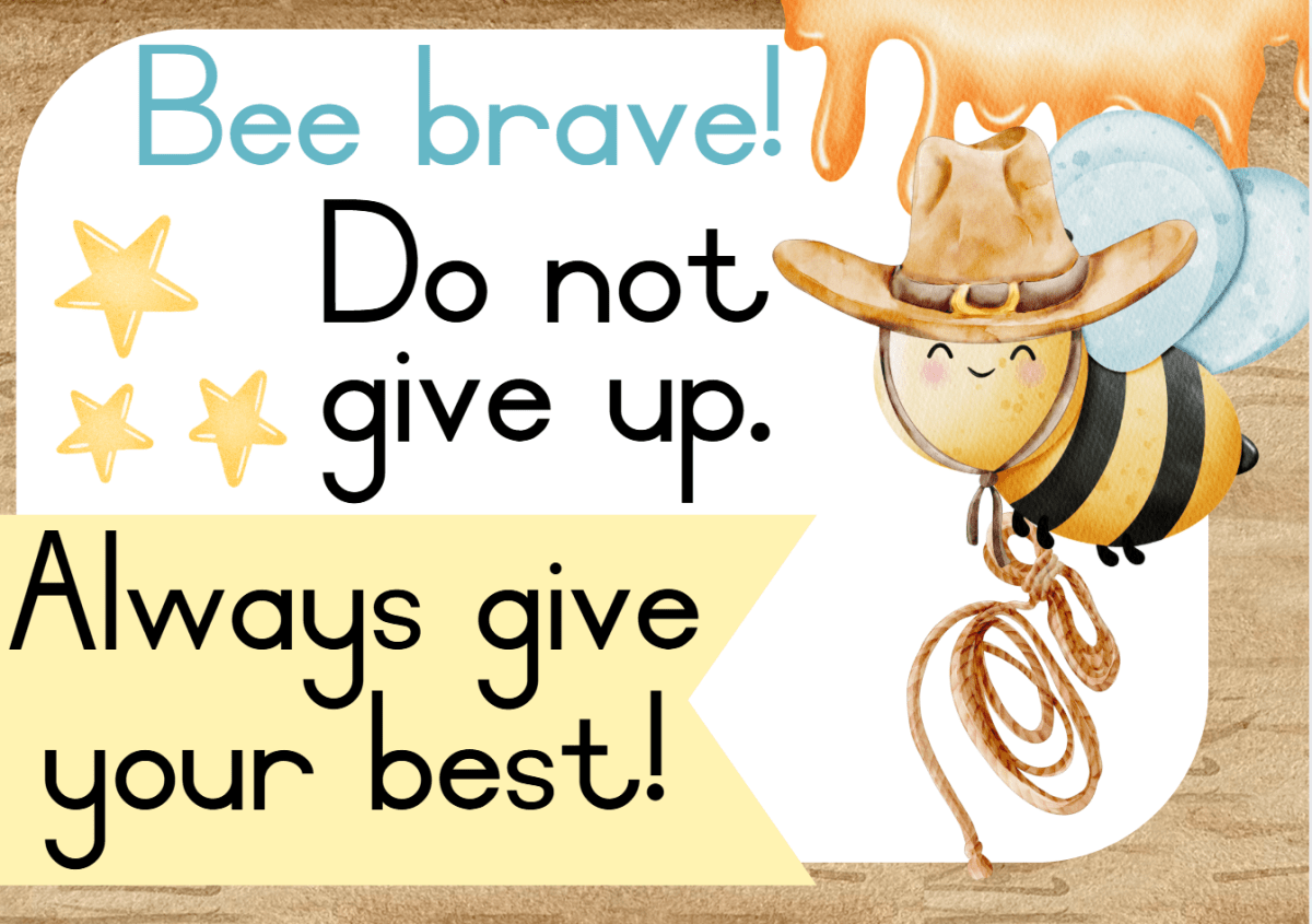 Cowboy Bee Theme - Image 13