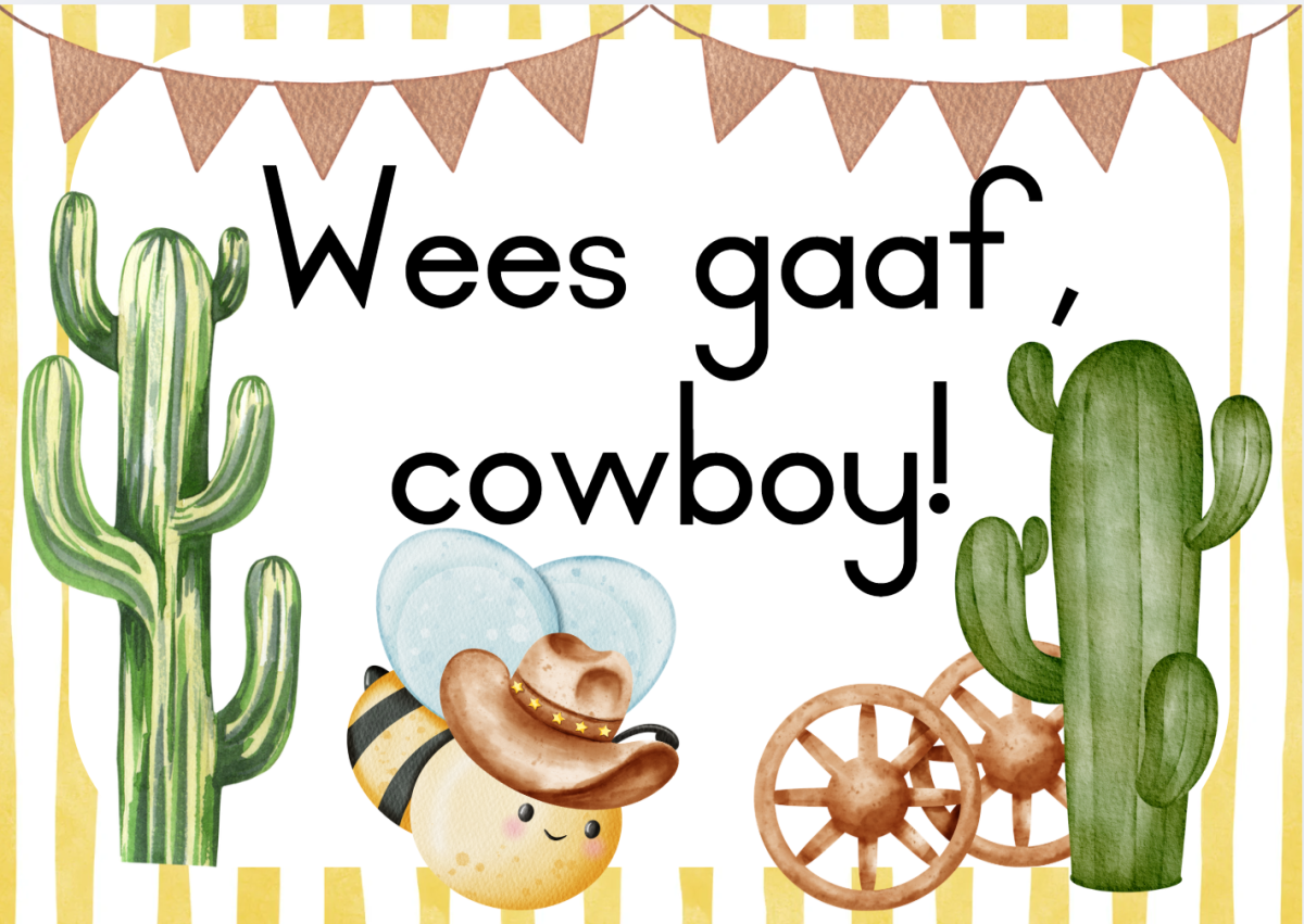 Cowboy bye - Image 25