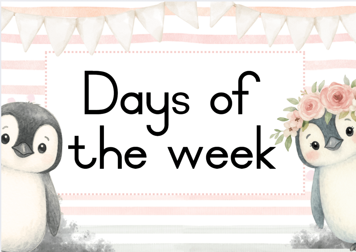 Penguin theme - Image 25