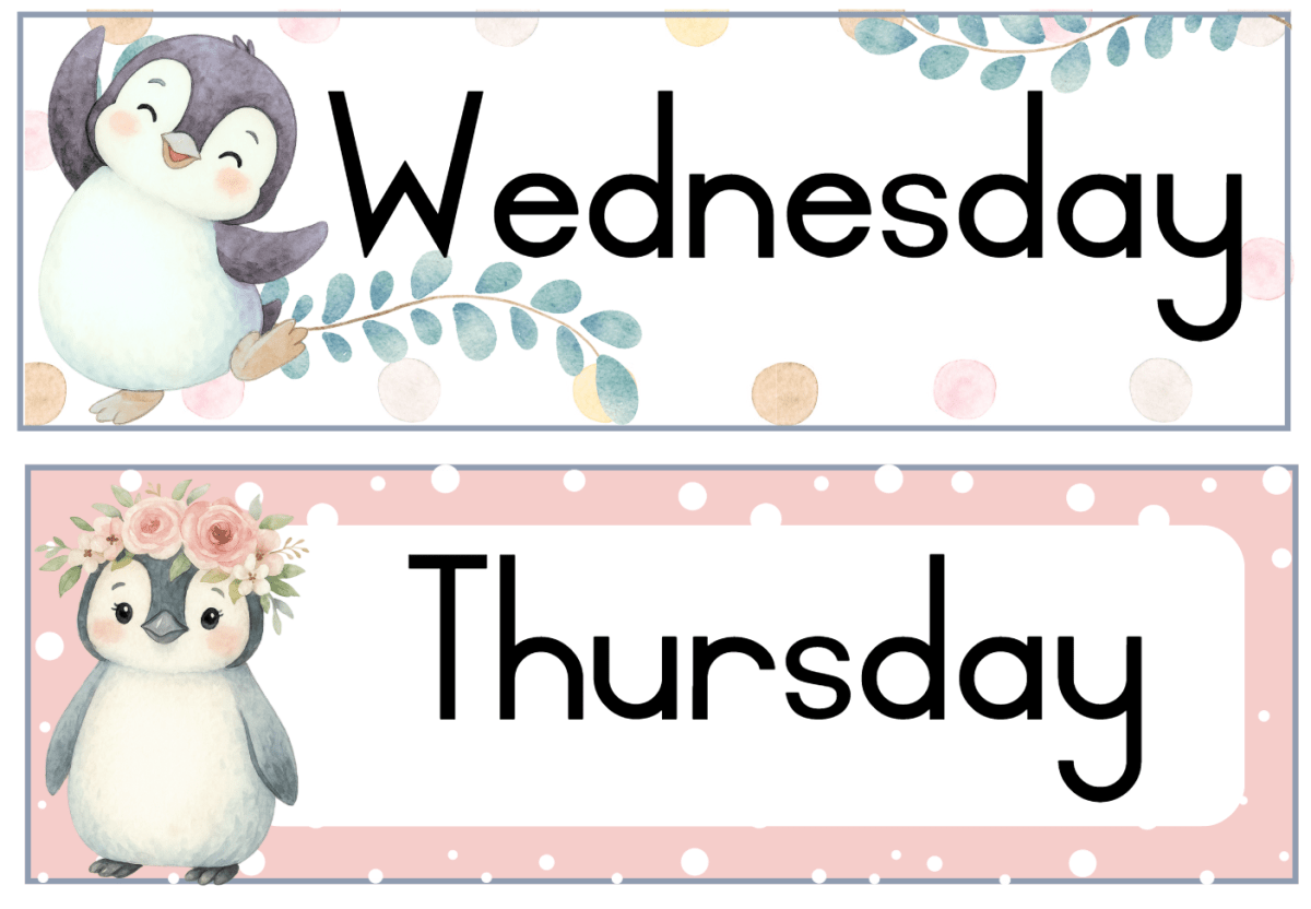 Penguin theme - Image 27