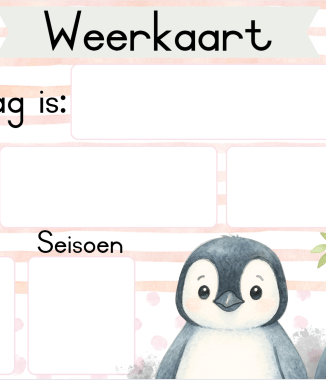 A2 en A3 grootte Pikkewyn weerkaart