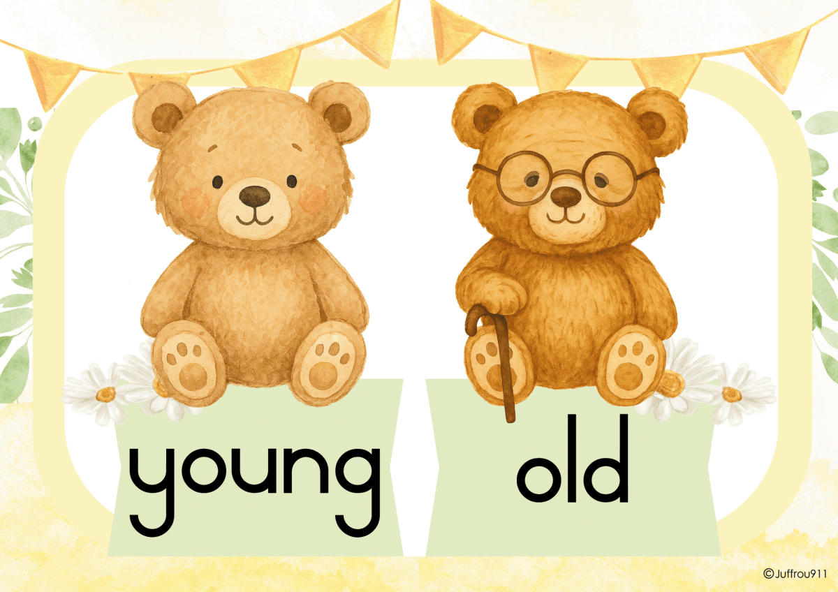 FREE Number line 0-20 & Opposites posters