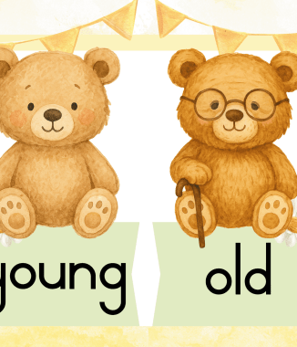 FREE Number line 0-20 & Opposites posters