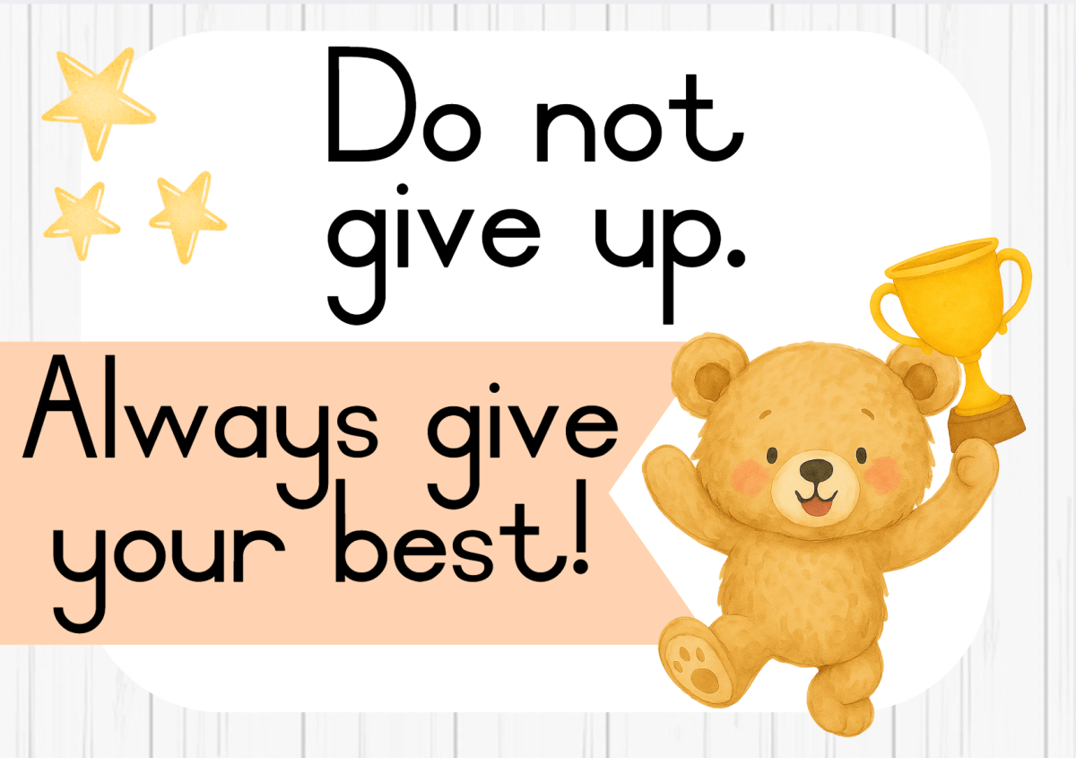 Bear theme 2025-2027 - Image 4