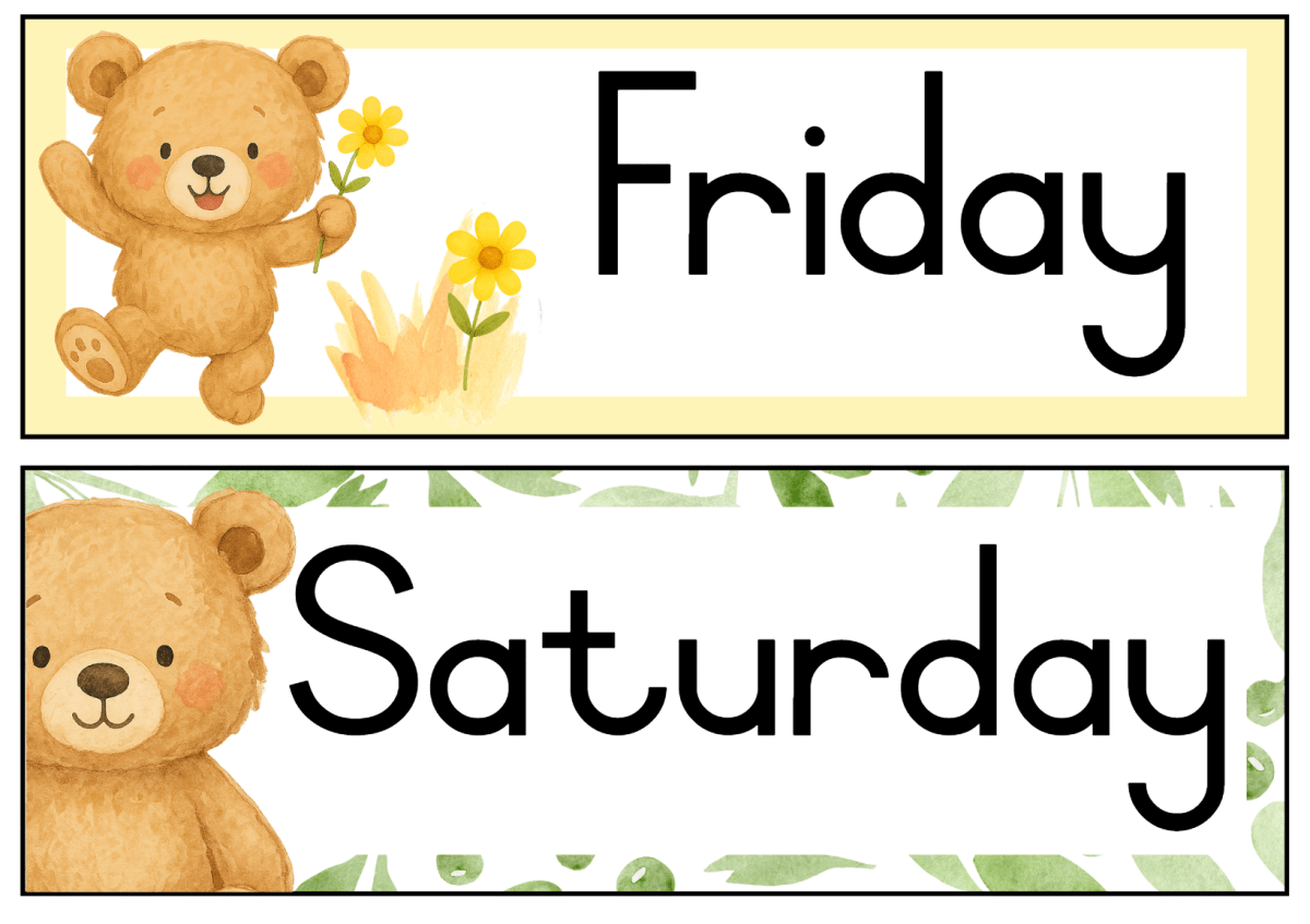 Bear theme 2025-2027 - Image 28