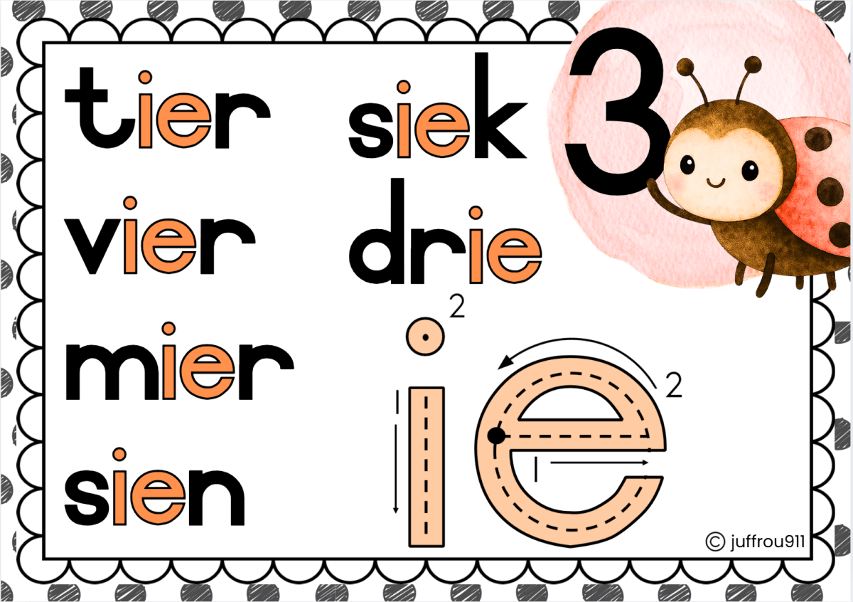 Liewenheersbesie Klaskamertema - Image 23