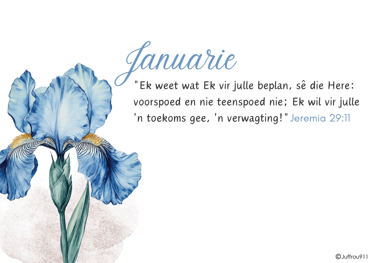 Pers en Blou Blomme Kalender 2026 - Image 4