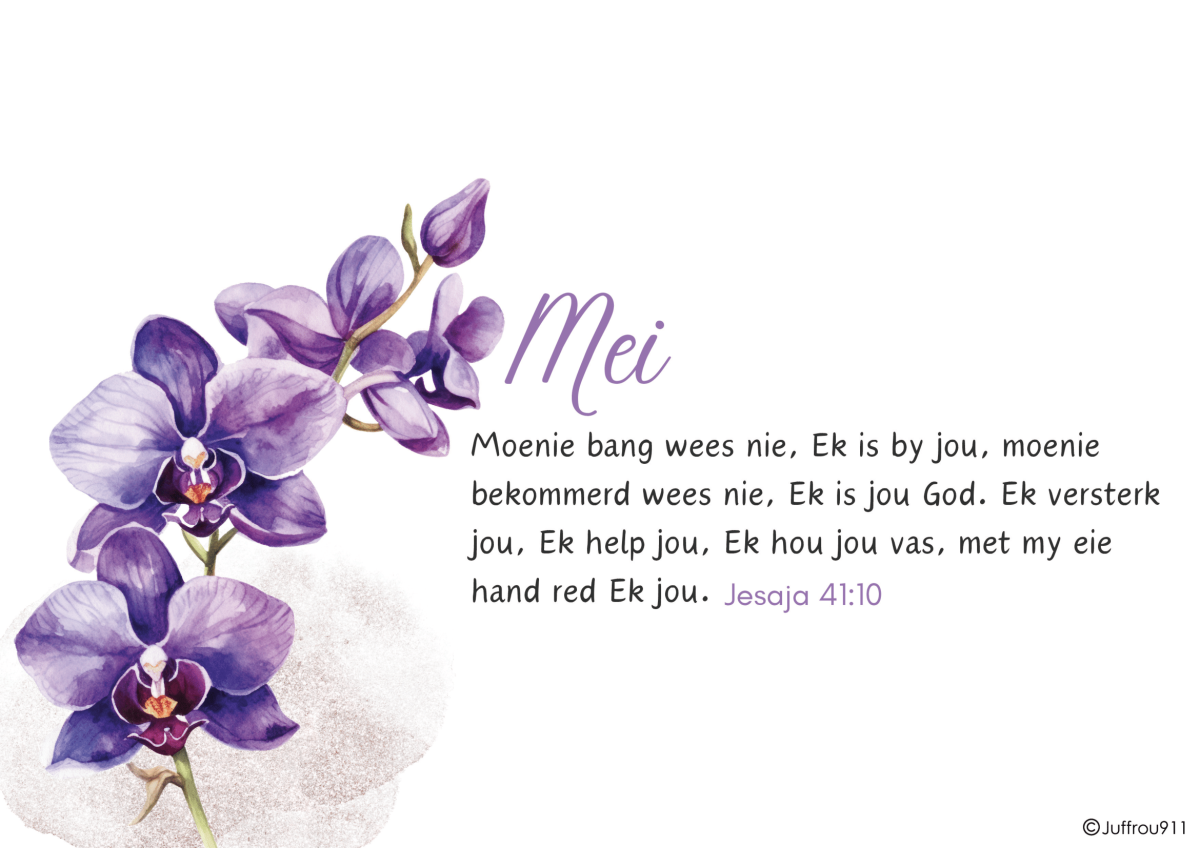 Pers en Blou Blomme Kalender 2026 - Image 5