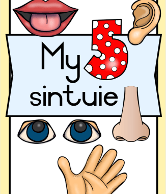 My 5 sintuie