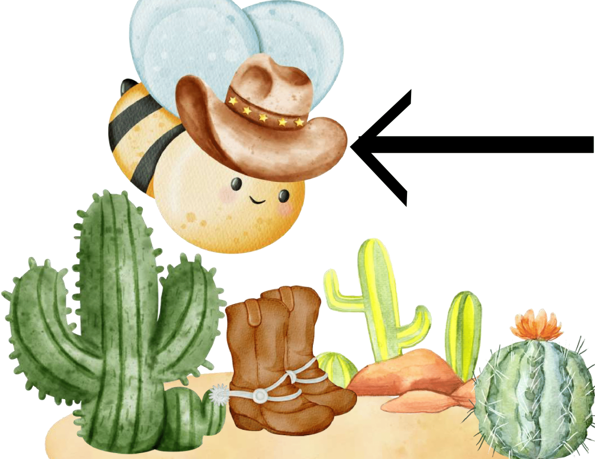 Cowboy and Bees: Number line 0-100