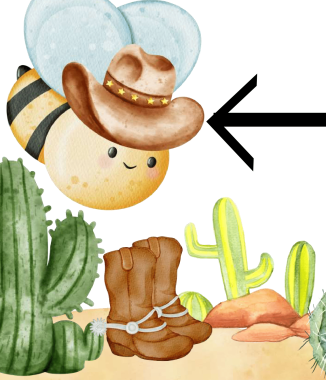 Cowboy and Bees: Number line 0-100