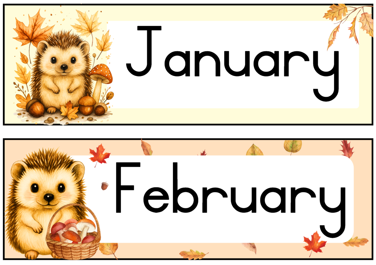 🦔Hedgehog Classroom Theme🧡💛 - Image 52