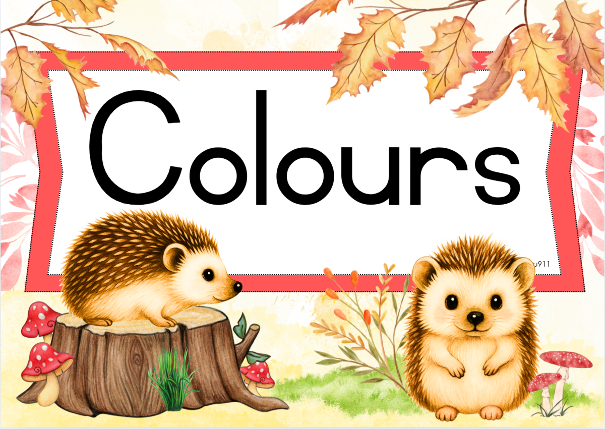 🦔Hedgehog Classroom Theme🧡💛 - Image 5
