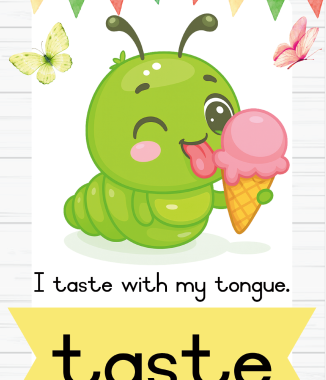 A4 Worm Senses posters