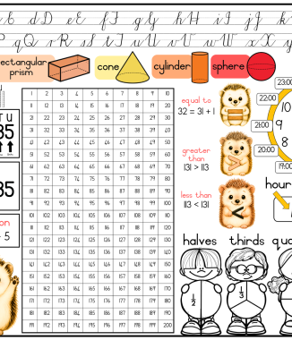 A3 Table mat hedgehog - Grade 3