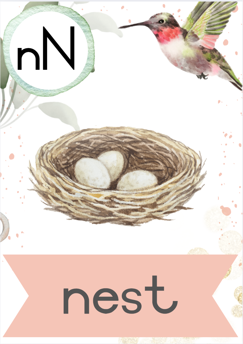 Hummingbird Theme - Image 12