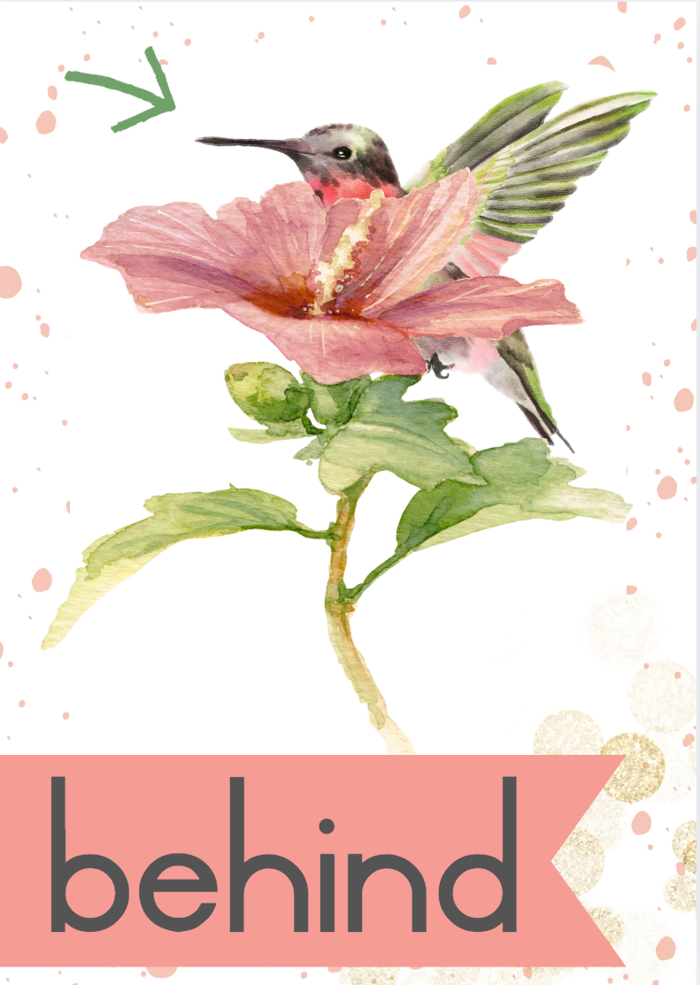 Hummingbird Theme - Image 27