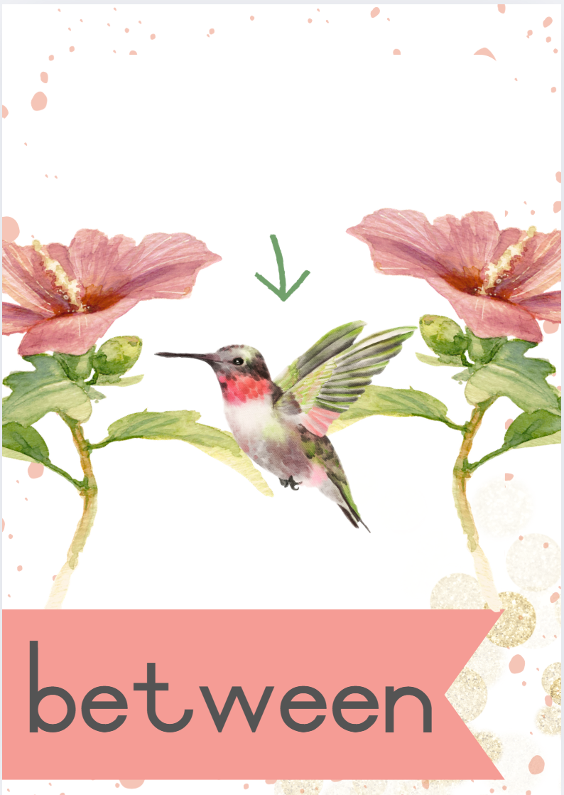 Hummingbird Theme - Image 28