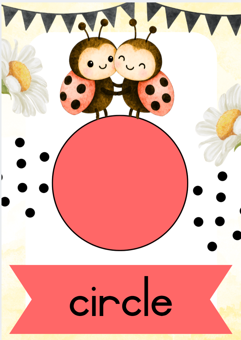 English Ladybug Theme - Image 23