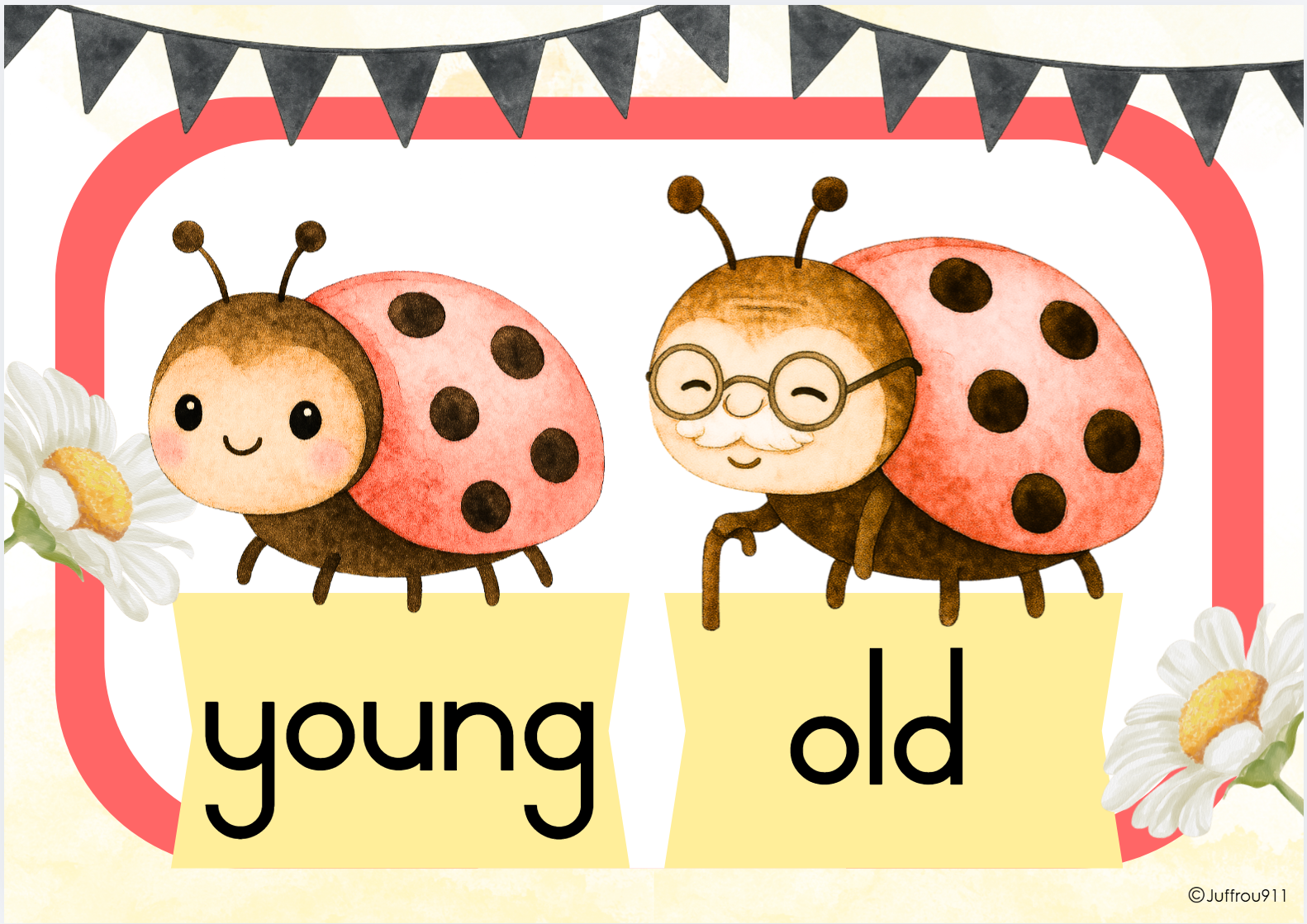 English Ladybug Theme - Image 29