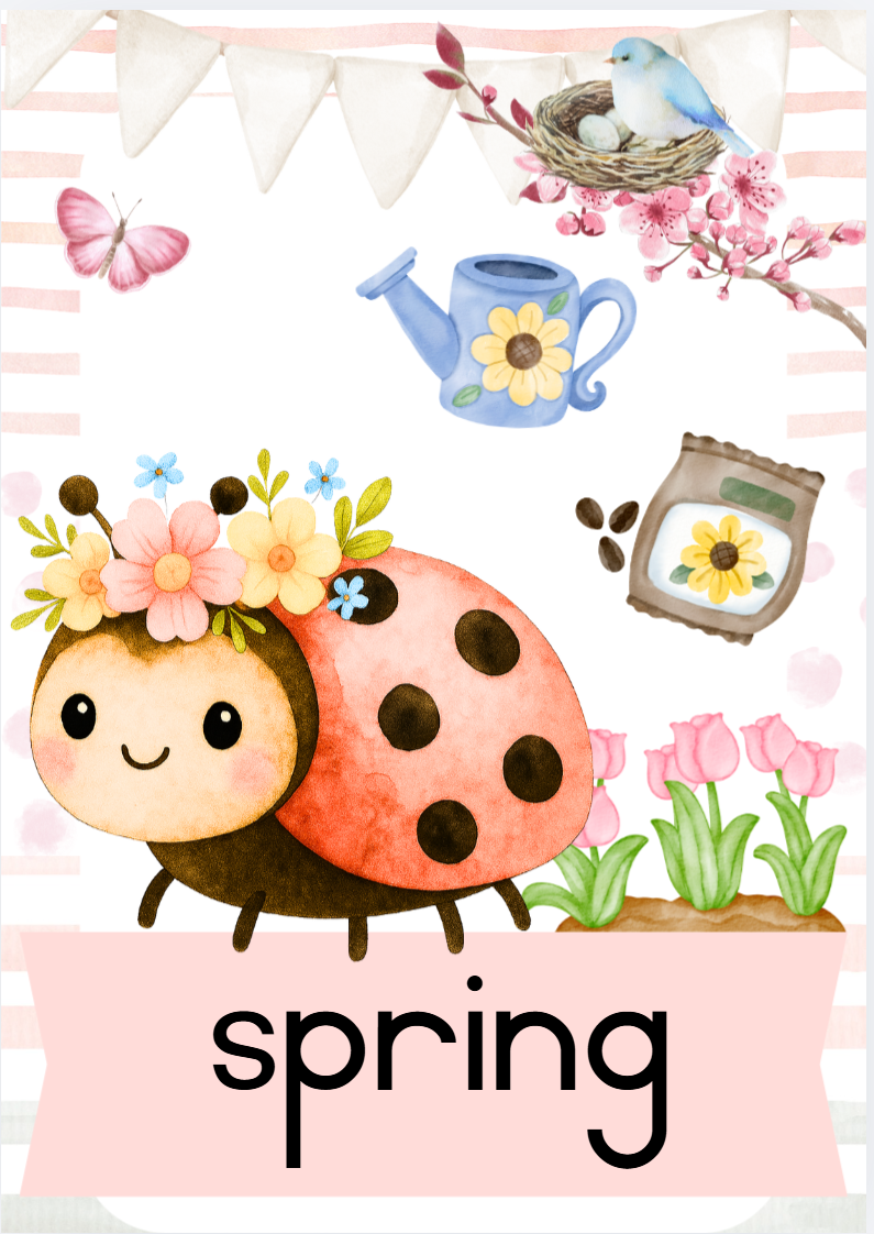English Ladybug Theme - Image 37