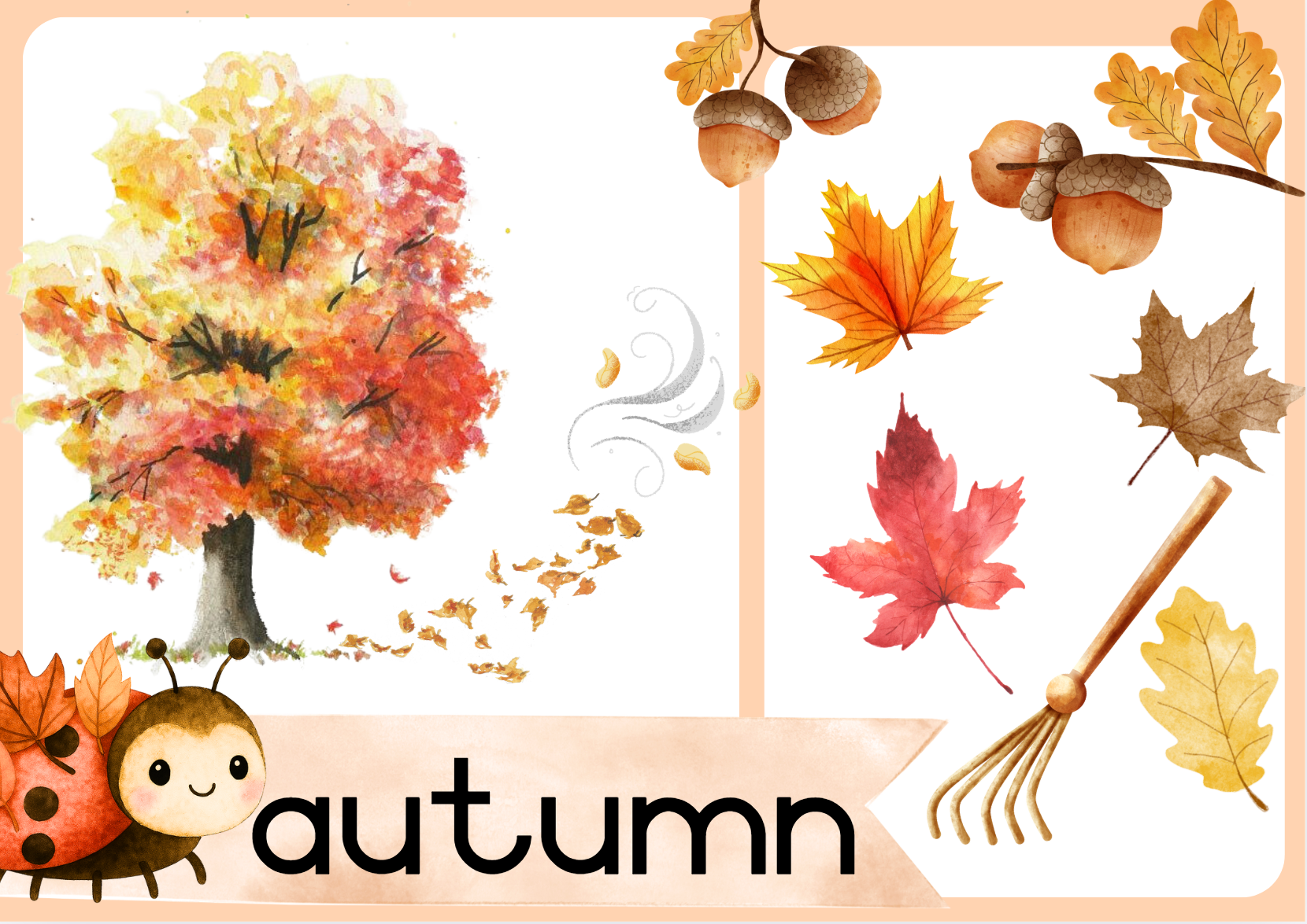 English Ladybug Theme - Image 40