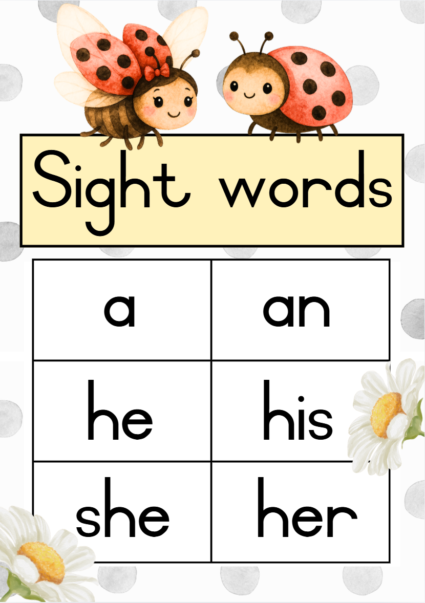 English Ladybug Theme - Image 43