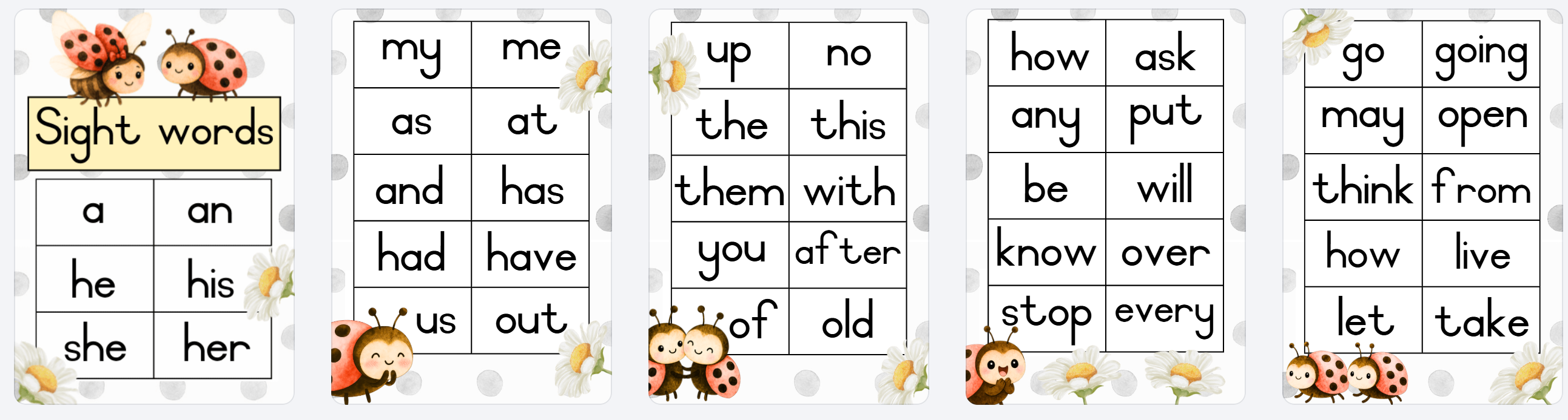 English Ladybug Theme - Image 44