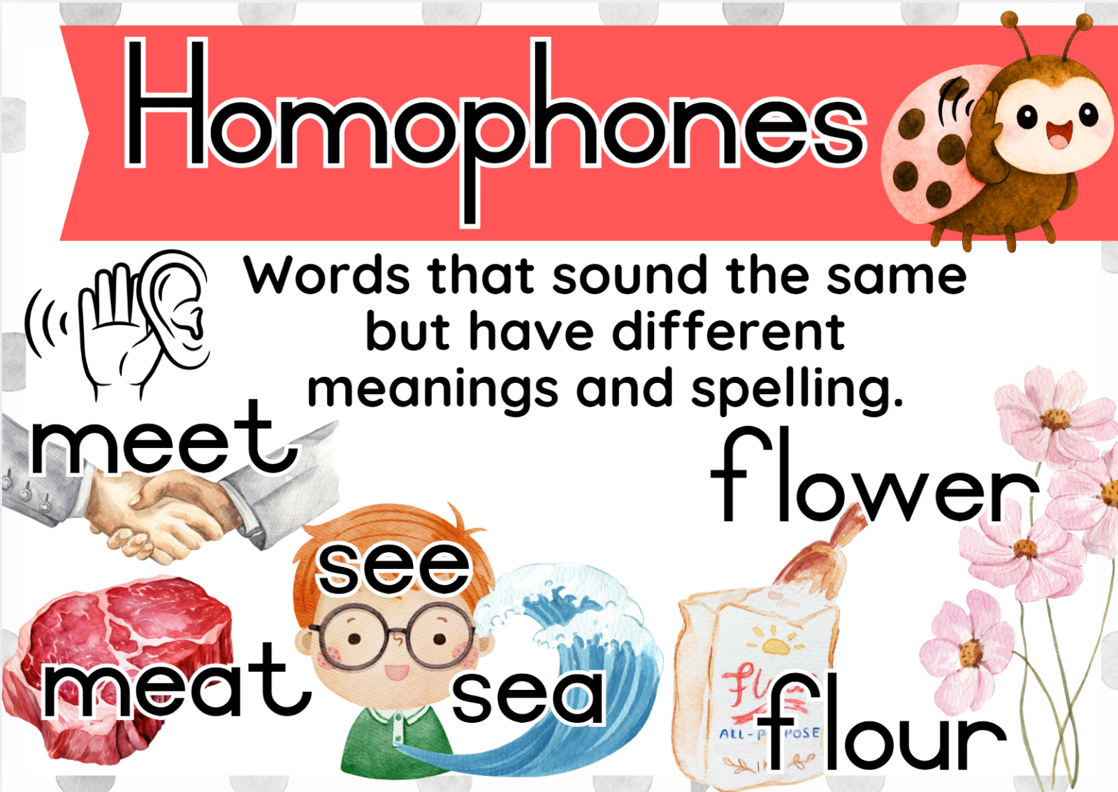 English Ladybug Theme - Image 27